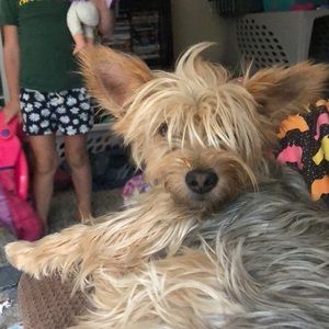 Meet your Posher, Renae